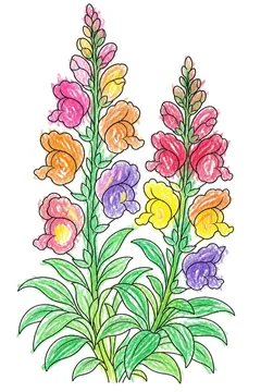 Colored example 1