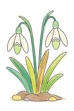Colored example 1