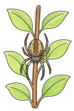 Colored example 3
