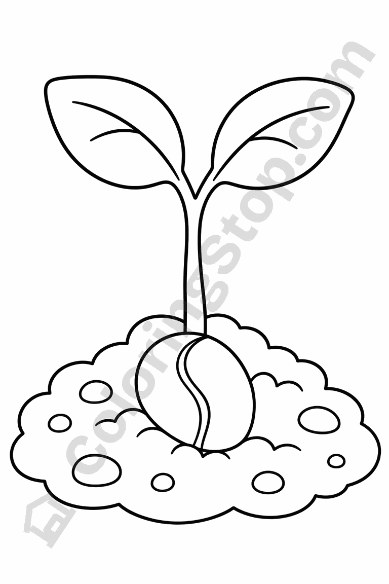 Sprouting Seedling In Soil - line-art coloring page