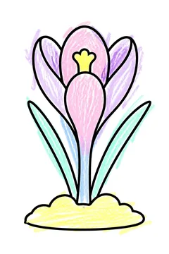 Colored example 1