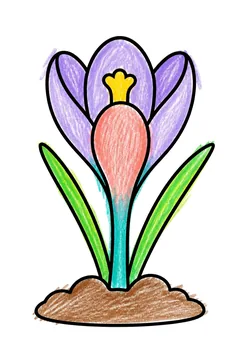 Colored example 3