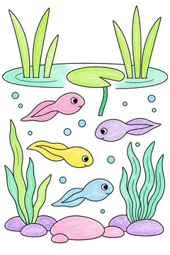 Colored example 2