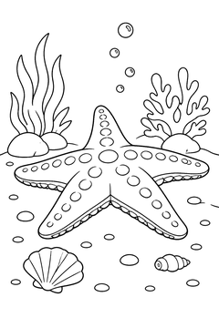 Starfish Seen From the Side line art