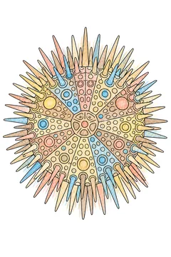 Colored example 1