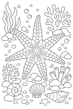 Seven-Armed Sea Star line art