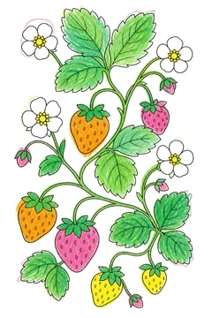 Colored example 2