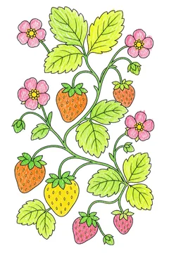 Colored example 3