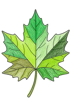 Colored example 3