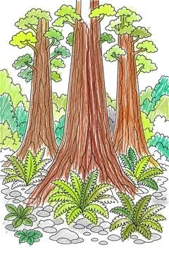 Colored example 1