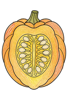 Colored example 3