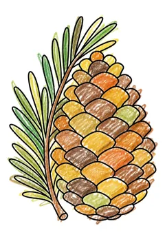 Colored example 1