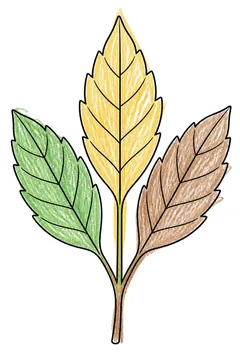 Colored example 3