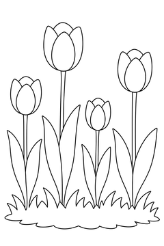 Tulip Row line art