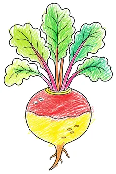 Colored example 1