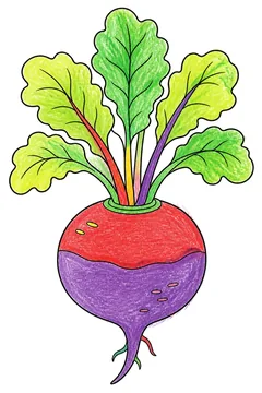 Colored example 3