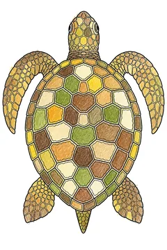 Colored example 1