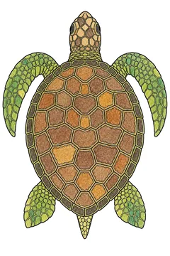 Colored example 3