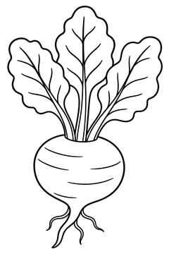 Beet line art