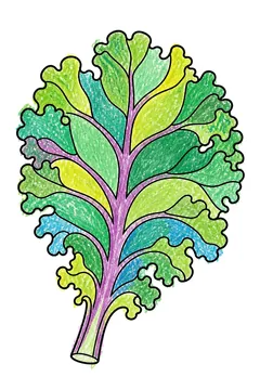 Colored example 2