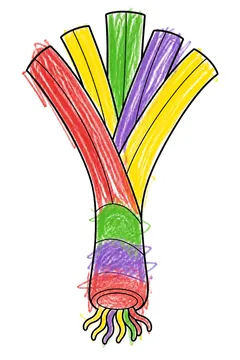 Colored example 1