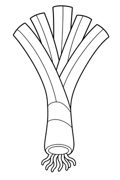 Leek line art