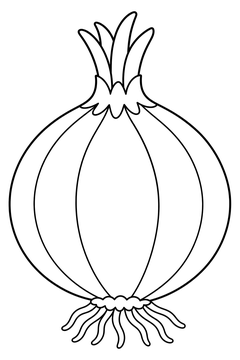Onion line art
