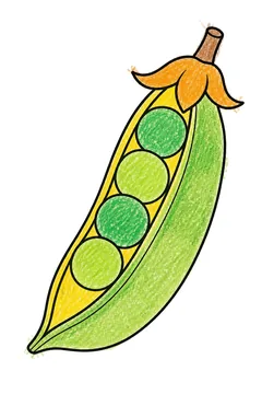 Colored example 2