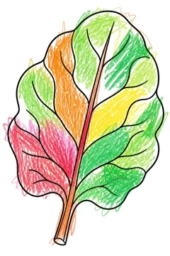 Colored example 1