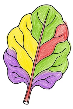 Colored example 3