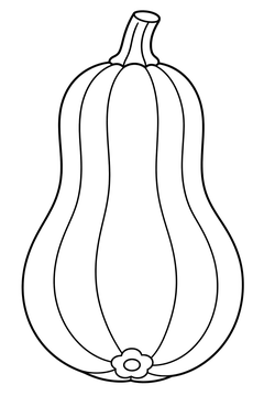Squash line art