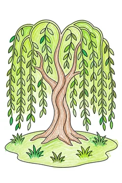 Colored example 2