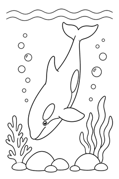 Orca Diving Down line art