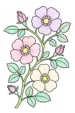 Colored example 3